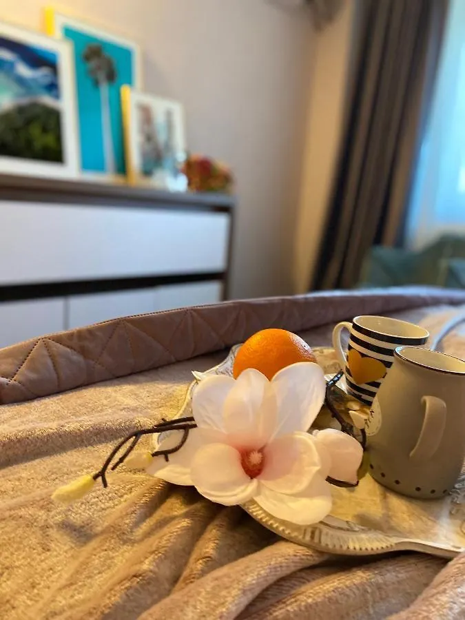 Apartment Victoriei Deluxe Suites Bucharest