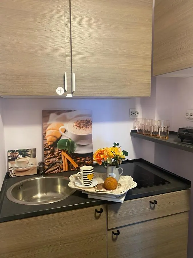 Victoriei Deluxe Suites Bucharest 0*,