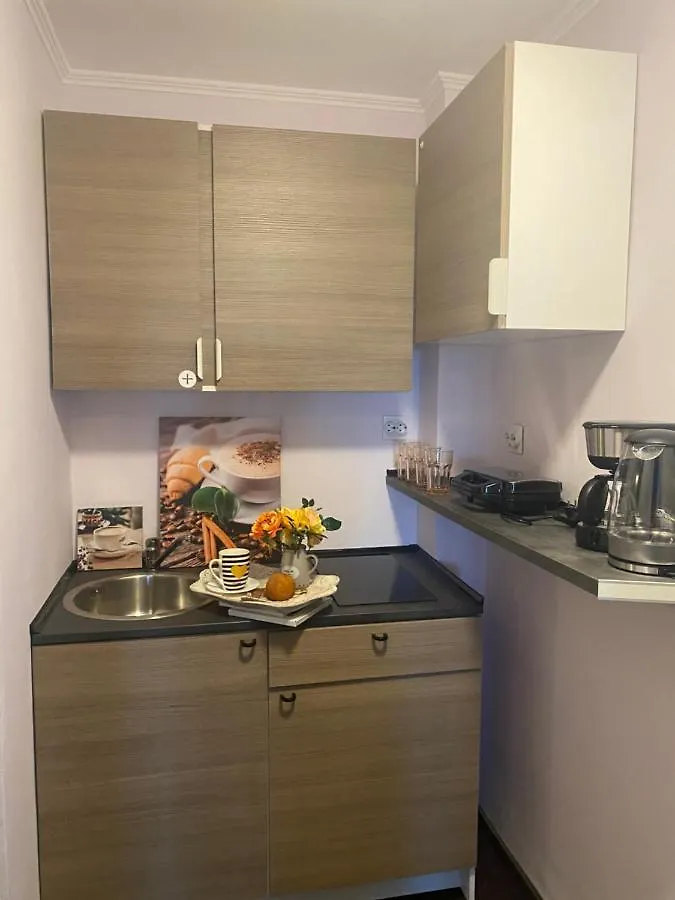 Victoriei Deluxe Suites Bucharest 0*,